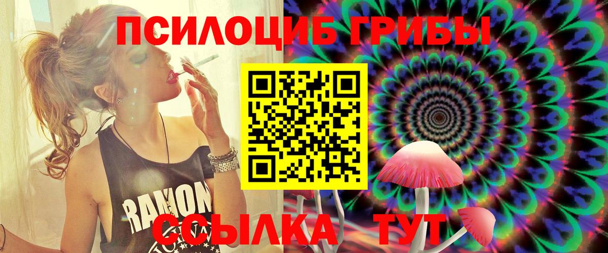 Амурск  Галлюциногенные грибы Psilocybe  Вход с VPN  Галлюциногенные грибы GOLDEN TEACHER 