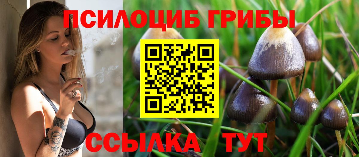 Псилоцибиновые грибы Psilocybe Амурск